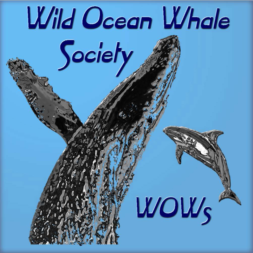 Wild Ocean Whale Society (WOWs)
